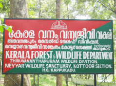 മനുഷ്യ- വന്യജീവി സംഘര്ഷം; നഷ്ടപരിഹാരം നിര്ണയിക്കാന് വിദഗ്ധസമിതി