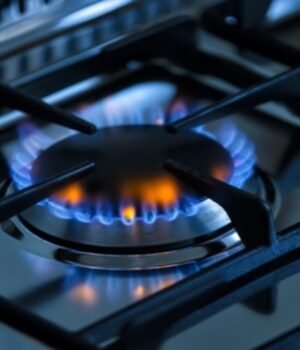 gas_burner_1790077072447_JNRO_1790077078052_Fqze_daad92ea-9c92-4ef7-8f97-643362197774_aNHZ.jpg