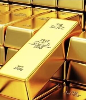gold_1762846380349_1762846386363_1788682107939_3ab6adac-ad2b-4e32-a557-c1ce54165e6c_8b2f1968-2ddf-4b0d-824f-23bf557dd2e4_55b252f1-c487-4a63-abec-12b6ff828a18.jpg