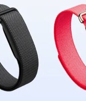 google_fitbit_air_1790241385517_9jM8_1790241385722_JLV1_05f29ff1-09f6-429b-bbac-bd8b910d24e1_1z8p.jpg