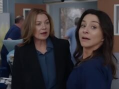 Grey’s Anatomy Season 23 teaser hints at runway crash, Meredith Grey return