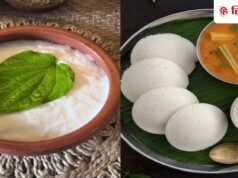 इडली के बैटर में पान का पत्ता क्यों डालते हैं लोग? फायदे जान आप भी ट्राई करेंगे ये हैक!