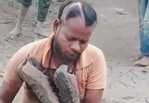 instagram-marriage-ends-in-viral-humiliation-for-up-man-285257647-16x9_0.png