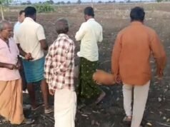 യുവതി ക്രൂരമായി കൊല്ലപ്പെട്ടു; മൃതദേഹത്തിനകരികെ കരയുന്ന ഒന്നരവയസ്സുയുള്ള കുഞ്ഞും