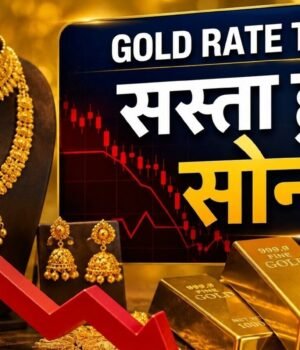 mcx_gold_1789401396548_gtYk_1789401396763_1t2j_7ab7f576-6a09-4666-b2c0-786178d04050_V4FM.jpeg
