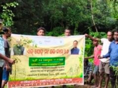 ମହାନ୍ତିିପଡାରେ ଏକ ପେଡ୍ ମା କେ ନାମ୍