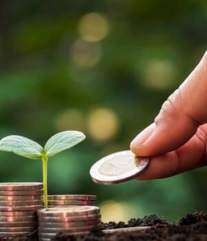 money_1789938345756_p4Te_1789938345968_NdU2_c4a40f6f-8a0e-4dd9-8f37-82a910e519ce_zmNX.jpg