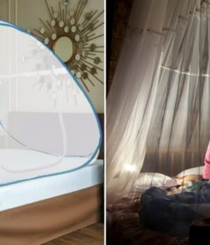 mosquito_net_cleaning_tips_1790759575877_J0jp_1790759576204_4pb2_8d46b214-b2db-4c5e-8359-af9bcdabcac3_SFaf.jpg