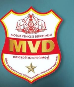 mvd-1.jpg