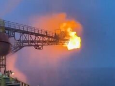 What is the Mahanadi Basin where ONGC has struck natural gas?