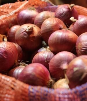 onion_1790052346787_BkDK_1790052347909_P3ug_ae7f0578-d049-48f3-8923-f1cc5e3a7999_2dzo.jpg