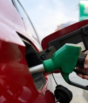 petrol_1790239066455_dvVd_1790239066631_dlOa_a3623104-f4dc-4fc1-a95e-11671d09ccf3_UTLs.jpg