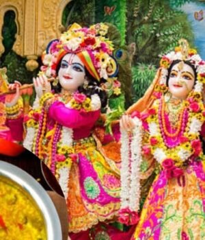 radha_ashatami_bhog_khichadi_1789719245752_JDcX_1789719245895_tSLk_0fe1239f-a950-4f99-ba9c-add0c16b21c2_NbYO.jpg