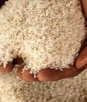 rice-305227698-16x9.jpg