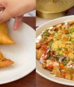 samosa_chat_1789462100681_JMKT_1789462108076_sOEA_b13e1944-419a-429a-ad5f-aceaa4716a1b_2gQi.jpg
