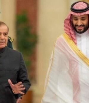 saudi_1789361025195_e58bf5ec-e626-4219-bb92-4d6669eb493b_1789361025328_61c36d78-b967-4db1-8c06-5f0e78a46ef2_d1c6e707-60f0-490c-aa34-5d02c2c2759f_cf04f588-38a3-45c9-ba16-35e9e4bf16aa.jpeg