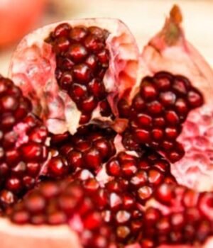 soaked_pomegranate_benefits_1790321053908_gEbU_1790321054064_b0SQ_e37f56ab-97f7-438f-8241-8f725c48a365_Vvkg.jpg