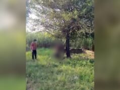 10-day-old body found hanging from tree in UP’s Bijnor, police seek his identity