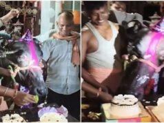 UP man celebrates pet buffalo Basanti’s 4th birthday with cake, balloons and cap