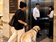 The unspoken struggle of the Indian pet owner: Taking the society lift