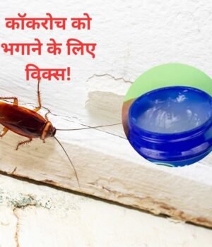 vicks_for_cockroaches_1_1788930705452_c24007fd-5e9d-4b04-ba95-39ae7a0af45f_1788930770602_e1c917fe-d034-4704-a44c-938ea76b0637_ea854af5-c502-43fb-8dff-7d4b85a07f99_314d1626-8dc8-417d-b0c3-3fe79aaee65e.jpg