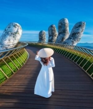 vietnam_1790262732589_BT4Y_1790262738815_nPmD_50ed3a9d-c0dc-473c-9214-f2a4bfb0d6c1_1goe.jpg