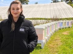 Beehive blitz may fill pollination gap as mite spreads