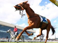 Caulfield Cup race fall: Stewards finalise inquiry into tragic incident