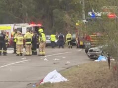 P-plater bailed after horror crash into Newcastle fans