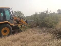 Maharashtra drought: Farmer uproots 1,000 sweet lime trees as water runs dry