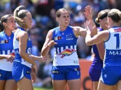 Roos defeat Dockers, Blues down Swans in Sydney