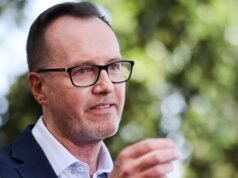 ‘Right without a remedy’: Greens push back on digital laws