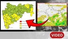 बंगालच्या उपसागरात चक्राकार वाऱ्यांची स्थिती, महाराष्ट्रात पावसाचा अलर्ट?