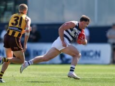 WAFL 2026: Former Geelong defender Jed Bews signs two-year deal to play for Eagles’ WAFL side