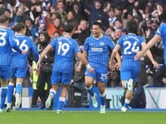 Send it like Beckham: halfway line joy for Seagulls