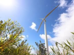 OPINION: Australia needs development capital, not just early grants and late finance