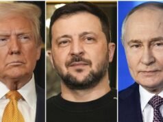 Russia, Ukraine ‘immediate’ energy ceasefire: Trump