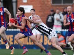 Dominic Bedendo: Fremantle Dockers sign former Western Bulldogs wingman as delisted free agent