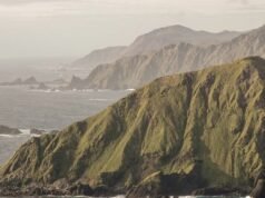 Macquarie Island elephant seal tests positive to deadly H5 avian flu