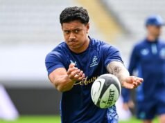 Why Ikitau feels right at home in Auckland return