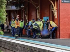 Man believed to be in his 80s dies after being struck by train near Carlton station