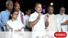 ‘इलेक्शन चोरीचा पुरावा द्या’, राहुल गांधी आणि राष्ट्रपतींच्या बैठकीत काय घडलं?