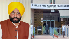 ਪੰਜਾਬ ਸਰਕਾਰ ਦੇ ਉੱਚ ਅਧਿਕਾਰੀਆਂ ‘ਤੇ ‘ਪੈਸੇ ਲੈ ਕੇ ਬਦਲੀਆਂ ਕਰਨ’ ਅਤੇ ਟੈਂਡਰ ‘ਚ ਗੜਬੜੀ ਦੇ ਇਲਜ਼ਾਮਾਂ ਦੀ ਜਾਂਚ ਹੁਣ CBI ਹਵਾਲੇ, ਹਾਈ ਕੋਰਟ ਨੇ ਦੋ ਮਹੀਨਿਆਂ ‘ਚ ਮੰਗੀ ਰਿਪੋਰਟ