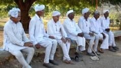 मच्छर, हाथी, वाघ, घोडा, पोपट, मांकड… गुजरातमध्ये अशी आडनावे कुठून आली?