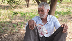 ‘एक भी संतरा बाज़ार नहीं पहुंचा, पूरे बाग़ सूख गए’: महाराष्ट्र के सैकड़ों किसानों का दर्द
