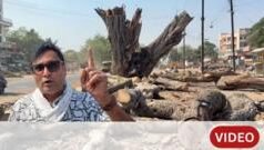 ग्राऊंड रिपोर्ट : 8 किलोमीटर रस्त्याच्या रुंदीकरणासाठी 660 झाडं तोडली जातात तेव्हा…
