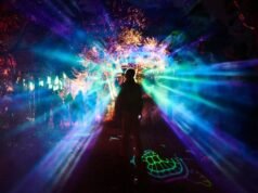City of Joondalup light festival Bloom kicks off in Joondalup’s Central Park