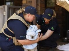 More than 100 dogs found living in squalid conditions in Canning Vale ‘puppy farm’