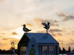 City of Rockingham Castaways Sculpture Awards 2026