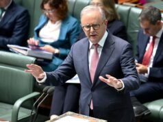 New AFR RedBridge poll shows Labor under pressure as Albanese and Chalmers hit record lows